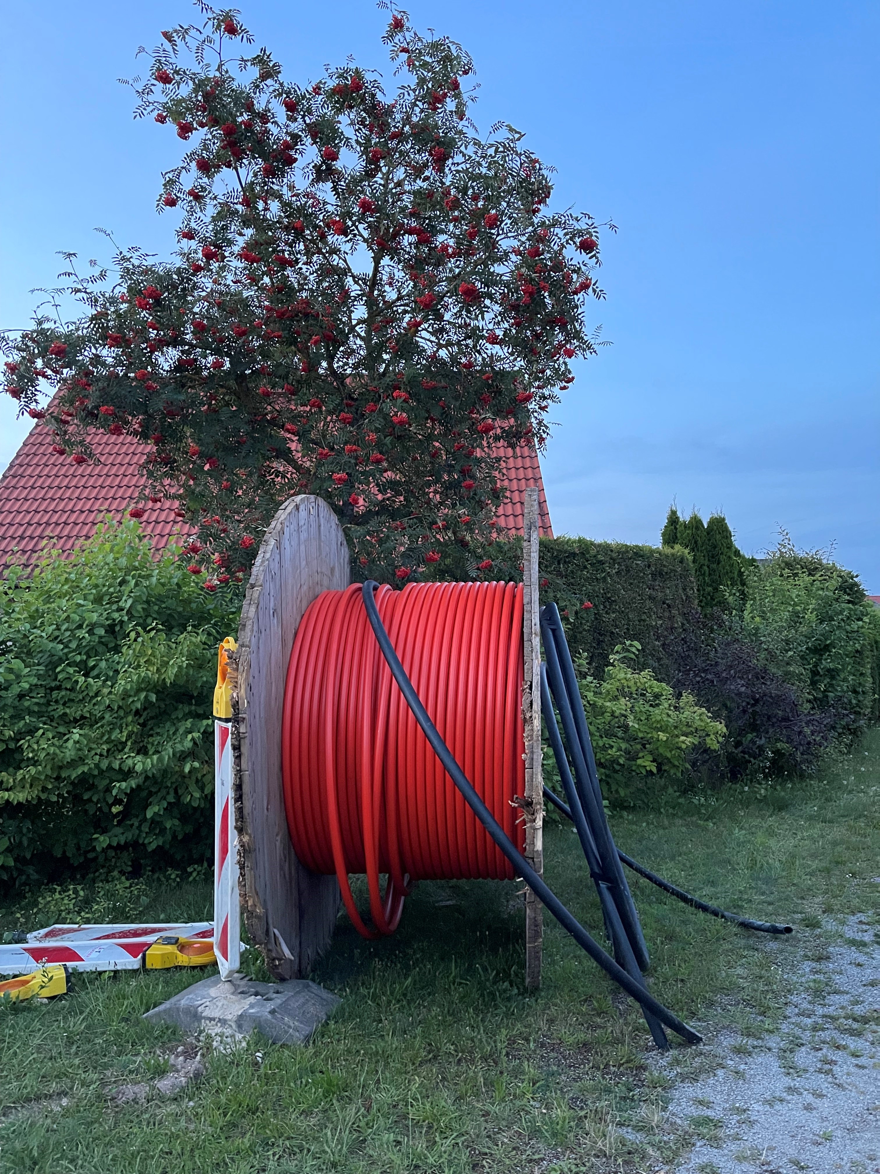 Kabel am Baum 3.jpg